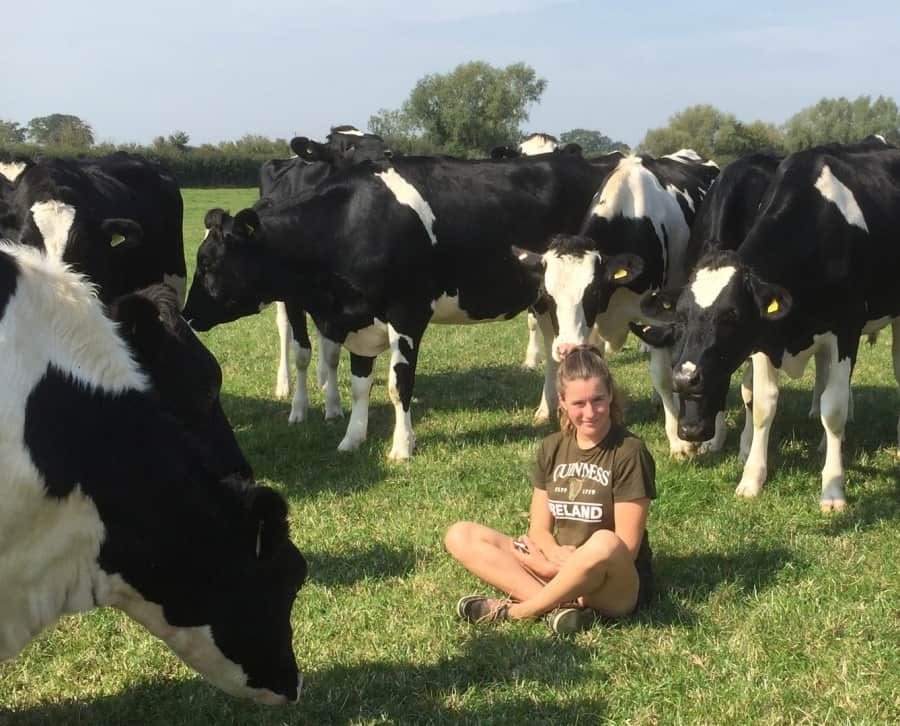 girl together with cows